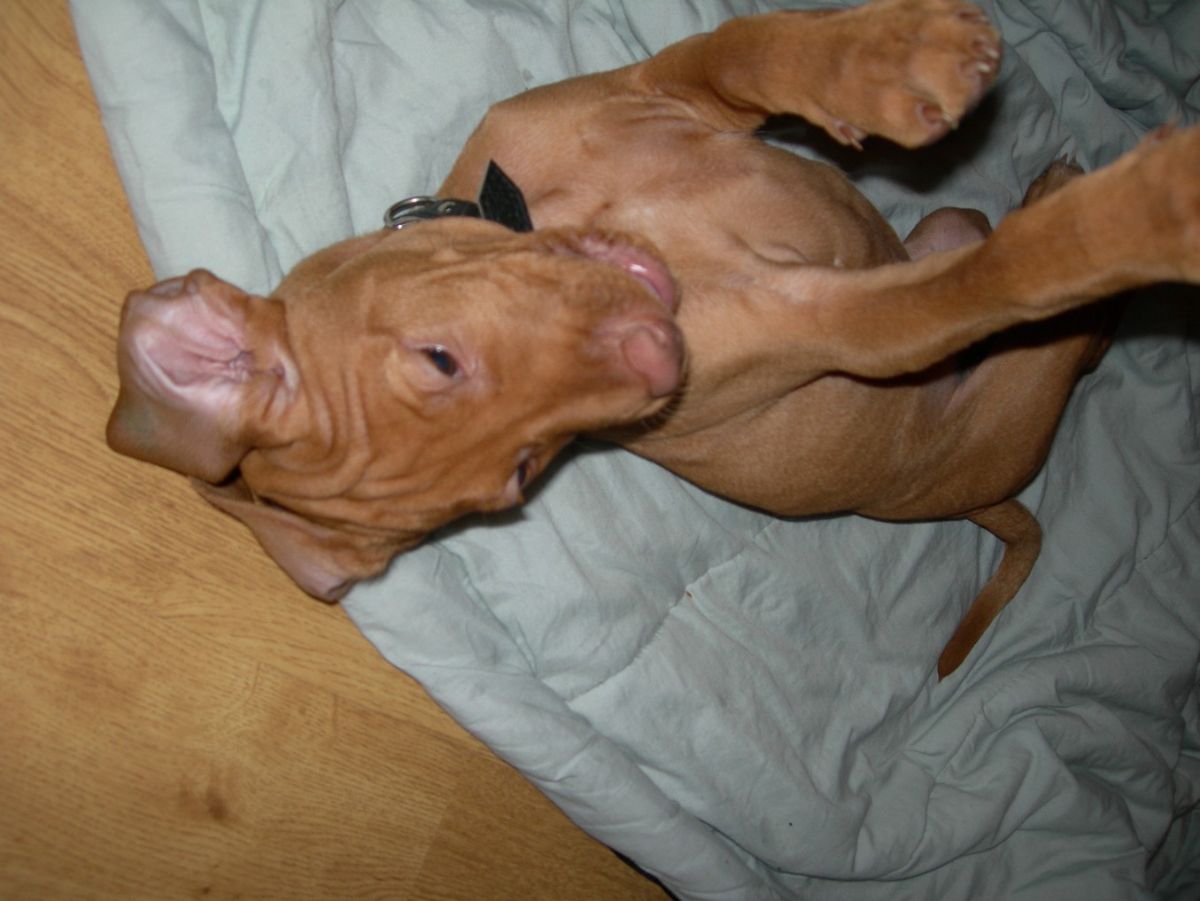 DSCN4675.JPG